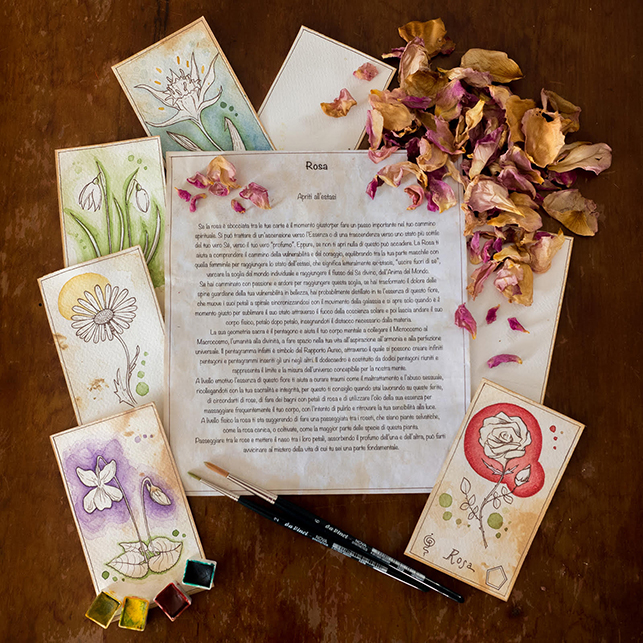 Progetto editoriale “L’essenza dei fiori”