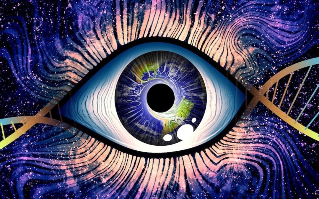 Ghiandola pineale e sistema endocrino nell’alchimia Taoista e nella pratica del Qi Gong